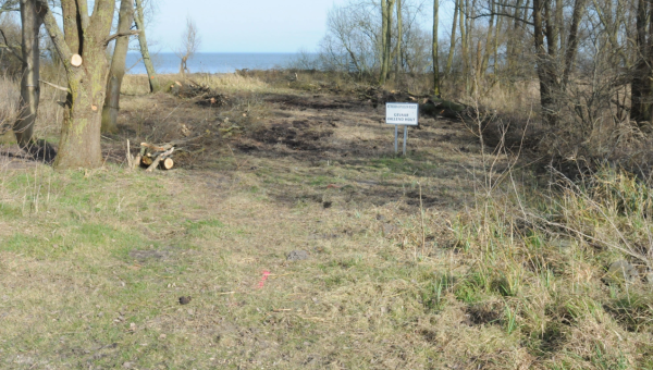 arken update Uitgevoerde werkzaamheden Bukdijk